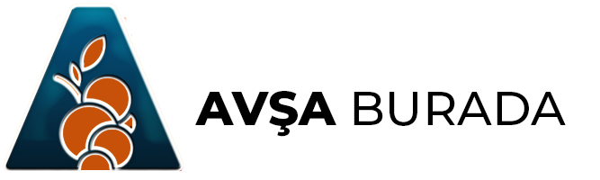 Avşa Burada logo