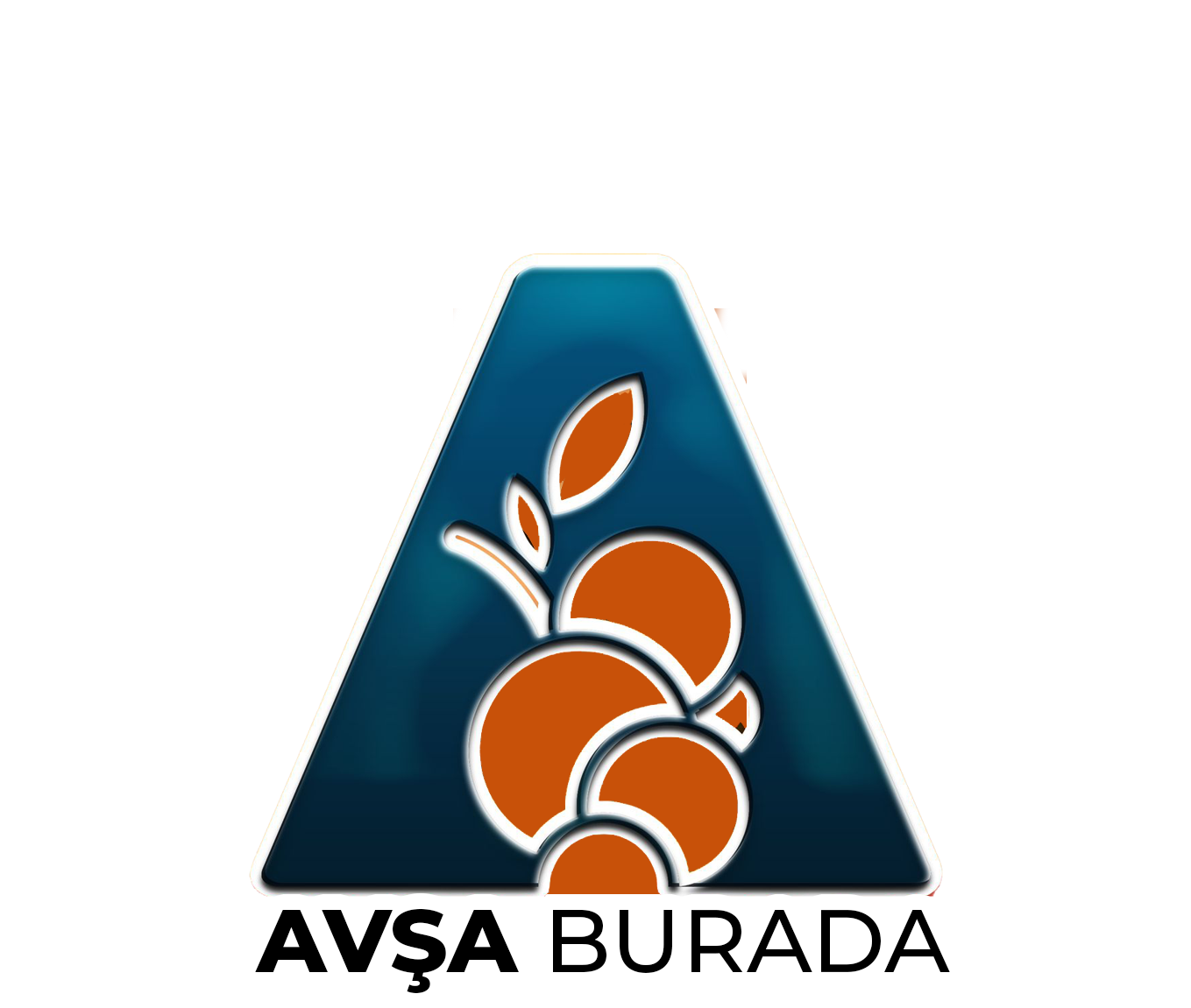 Avşa Burada logo